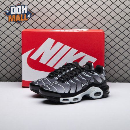 Nike Air Max Plus Black Silver White DM0032-003 Unisex